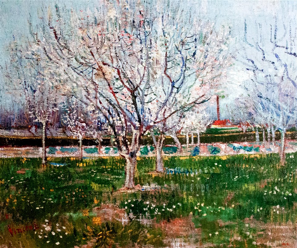 The White Orchard - My Dream