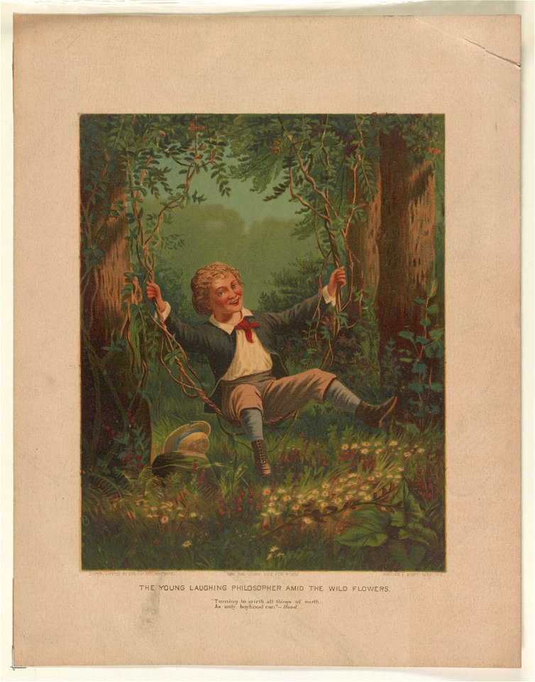 The young laughing philosopher amid the wild flowers LCCN2003680092