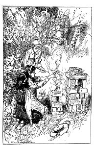 The Wonderful Garden -p349