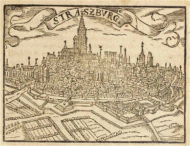Theatrum Vrbium 00067 Straßburg