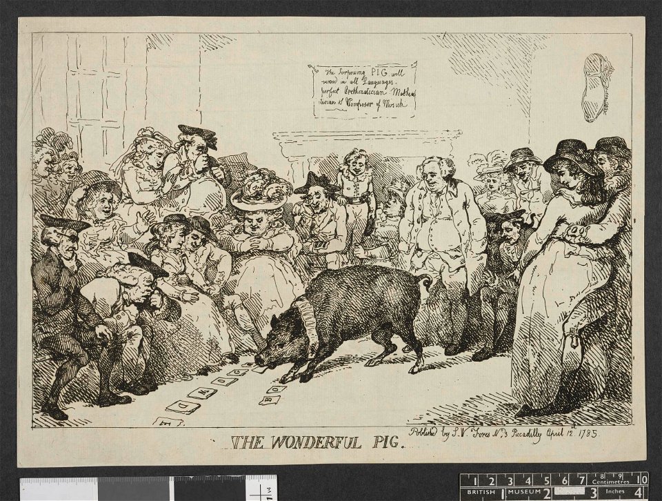 The wonderful pig. (BM 1868,0808.5428 1)