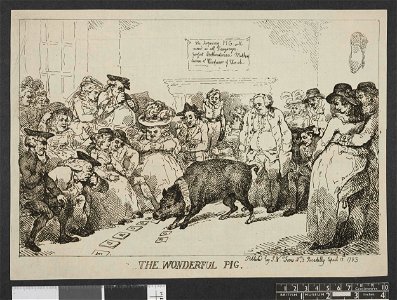 The wonderful pig. (BM 1868,0808.5428 1)