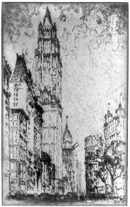 The Woolworth Building LCCN2003676599
