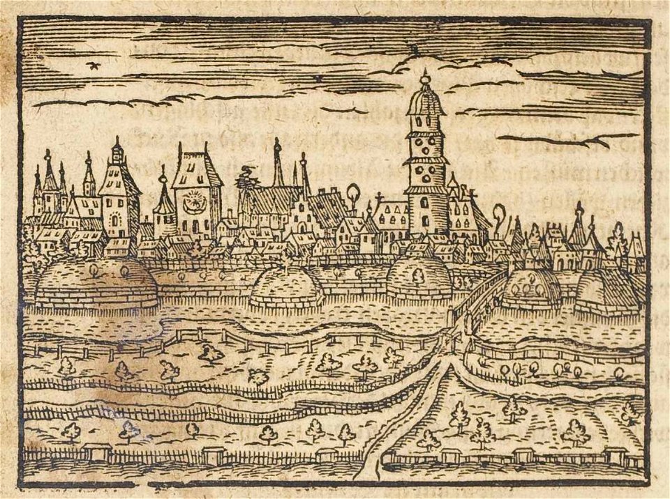 Theatrum Vrbium 00372 Hanau