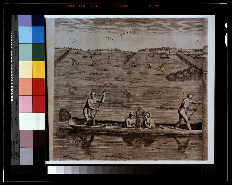 Their manner of fishing in Virginia LCCN2001695730