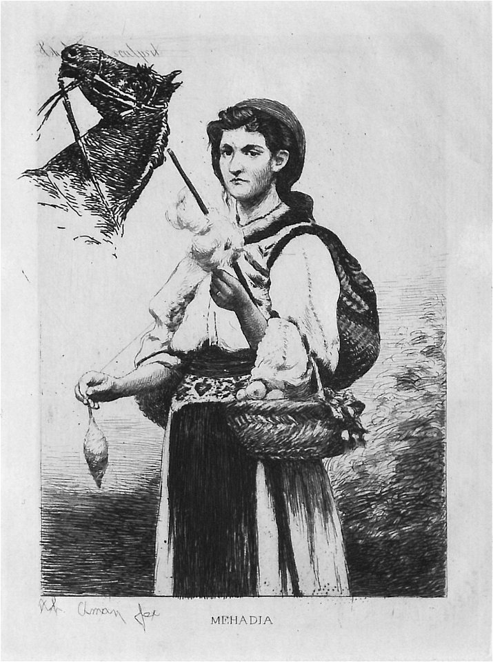 Theodor Aman - Mehadia