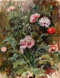 Theodor Aman - Garofite