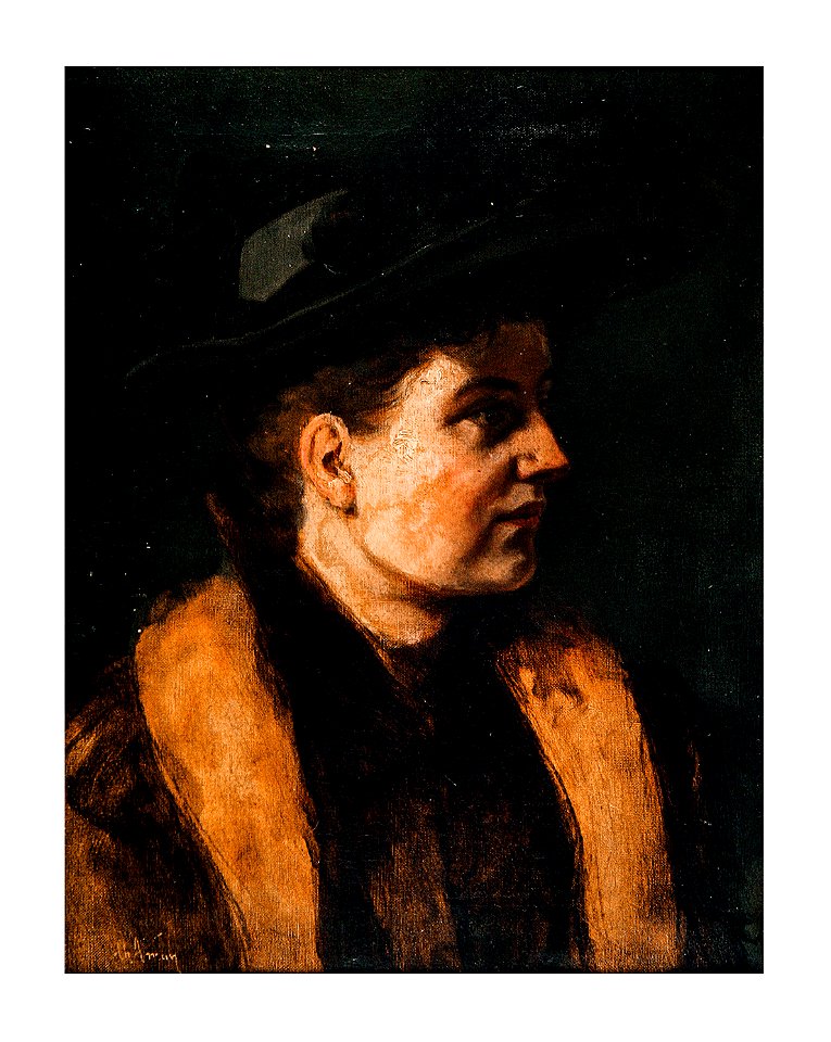 Theodor Aman - Palaria neagra