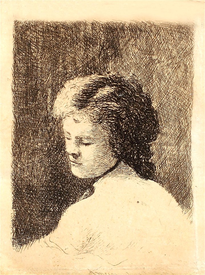 Theodor Aman - Visare