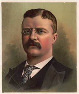 Theodore B. Roosevelt LCCN2003679843
