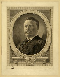 Theodore Roosevelt - Sidney L. Smith sc. 1905. LCCN2006677493
