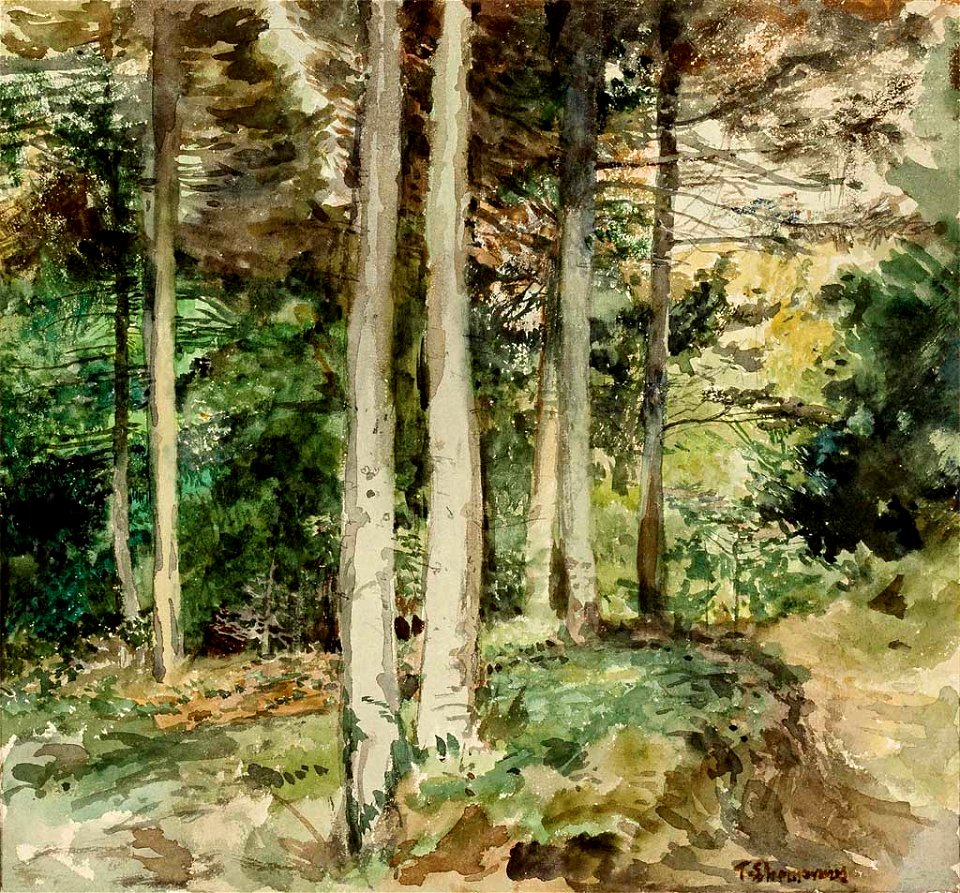 Theodor von Ehrmanns Waldinneres