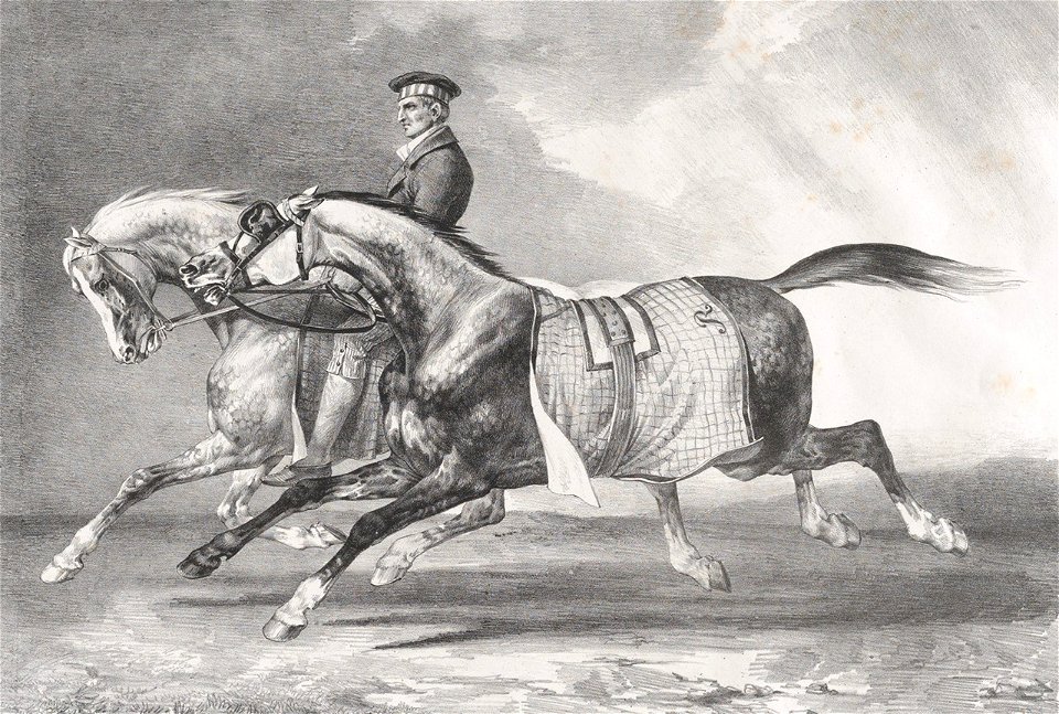 Theodore Gericault 017 (27956587769)