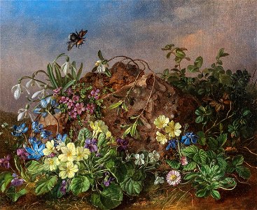 Theodor Petter (attr) Frühlingsblumen am Waldboden