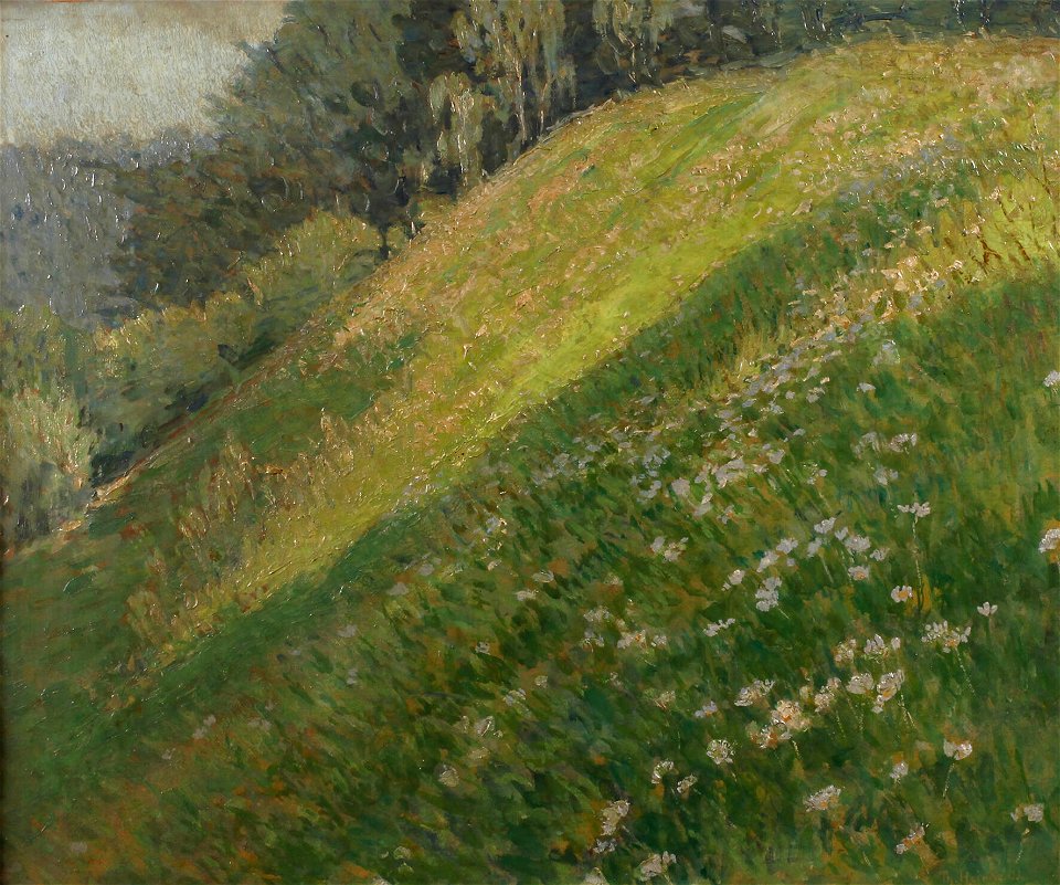 Theophil Heinke Marguerithenwiese