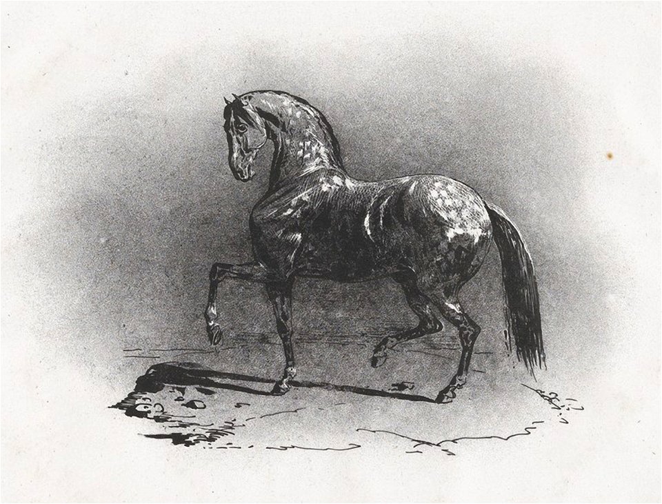 Theodore Gericault 124 (24865801677)