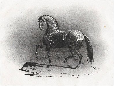 Theodore Gericault 124 (24865801677)
