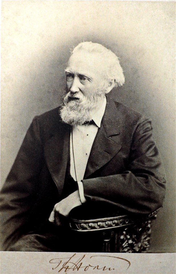 Theodor Storm (1817-1888)