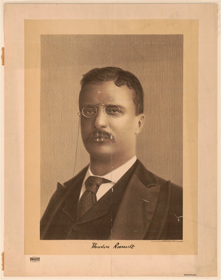 Theodore Roosevelt LCCN2014645118