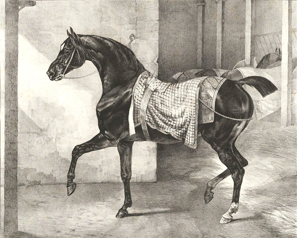 Theodore Gericault 022 (27956612019)