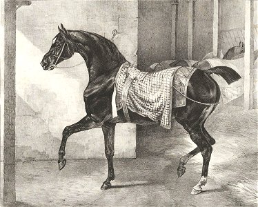 Theodore Gericault 022 (27956612019)