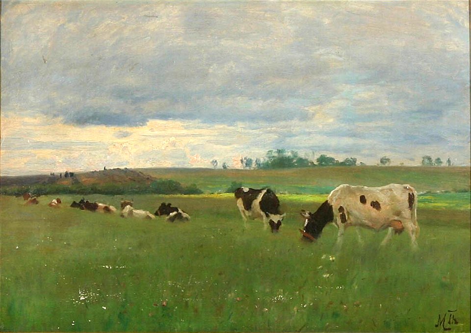 Michael Therkildsen - Køer på marken - (44 x 62 cm)