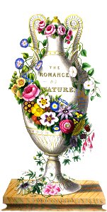 TheRomanceOfNature 0011