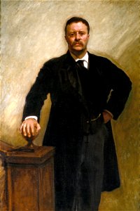 Theodore Roosevelt by John Singer Sargent, 1903. Free illustration for personal and commercial use.