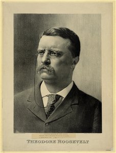 Theodore Roosevelt LCCN2003677508