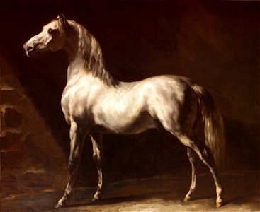 Theodore-Gericault--cheval-arabe-gris-blanc-rouen