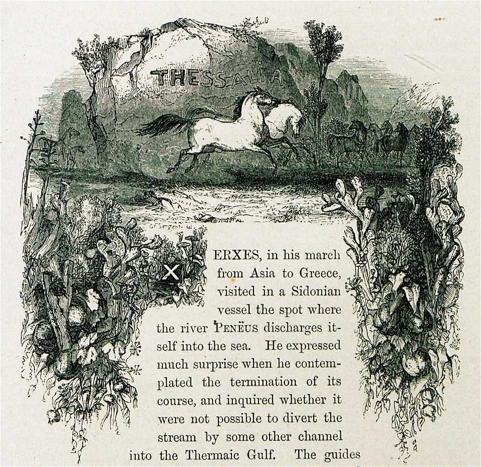 Thessalian horses - Wordsworth Christopher - 1882