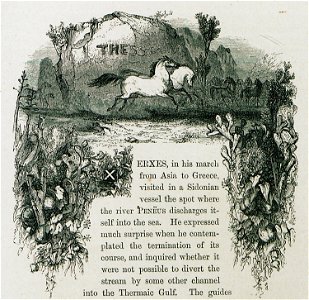 Thessalian horses - Wordsworth Christopher - 1882