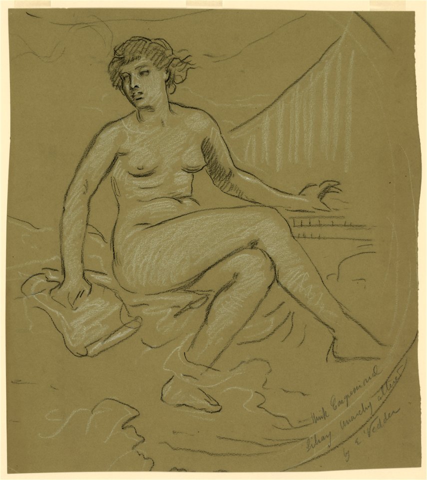 Think Congressional Library anarchy altered by E. Vedder LCCN2004662308