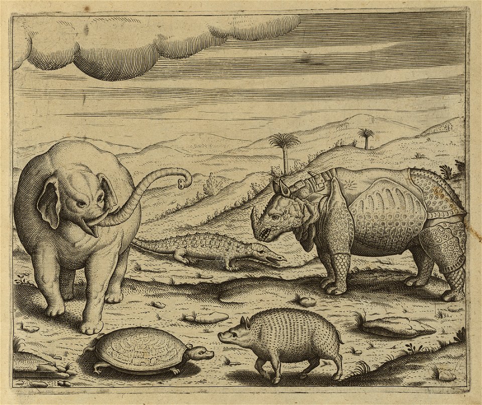 Thiere in Indien (Dietrisch, de Bry)
