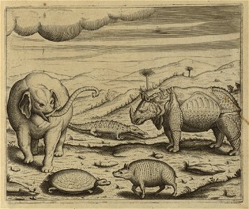 Thiere in Indien (Dietrisch, de Bry)