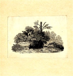 Thomas Bewick Bookplate-Jno Anderson Jun
