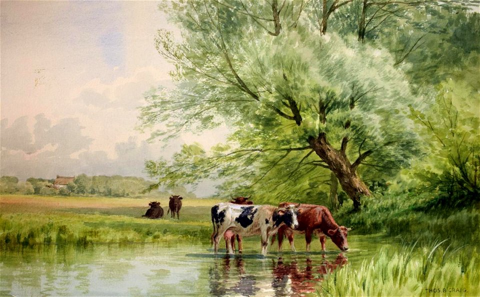 Thomas Bigelow Craig - Cattle in the Stream - 1959.34.1C - Reading Public Museum