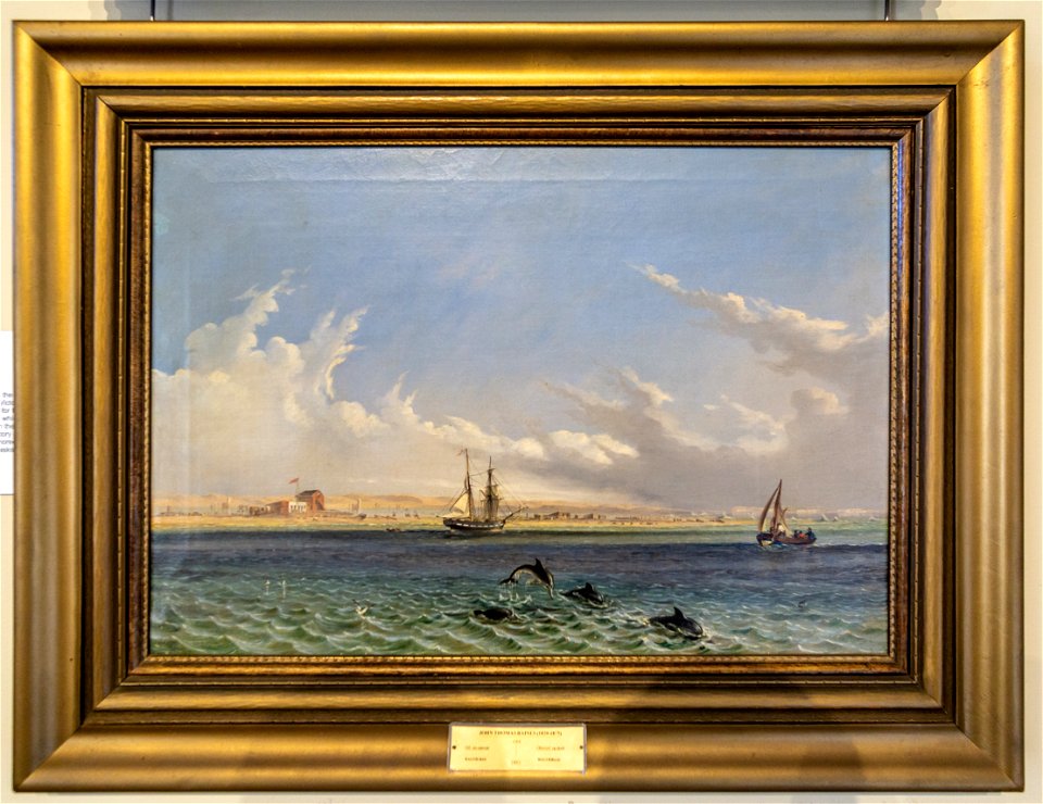 Thomas Baines-Walvis Bay-0621