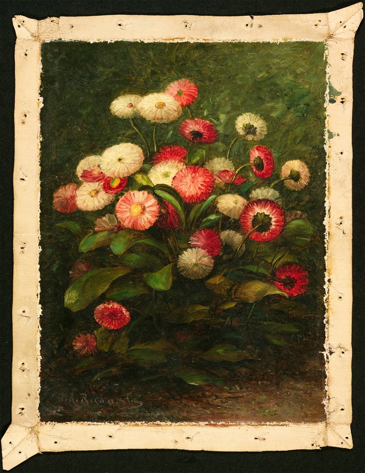 Thomas Addison Richards - Daisies - 1895.673 - Fogg Museum