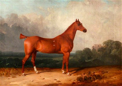Thomas Bennett (active 1796-1828) (attributed to) - 'Woodstock', a Bay Mare Belonging to Arthur Jones - 1430485 - National Trust