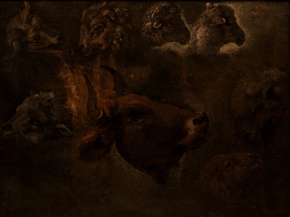 Thomas Cole - Studies of Animal Heads - 39.582 - Detroit Institute of Arts