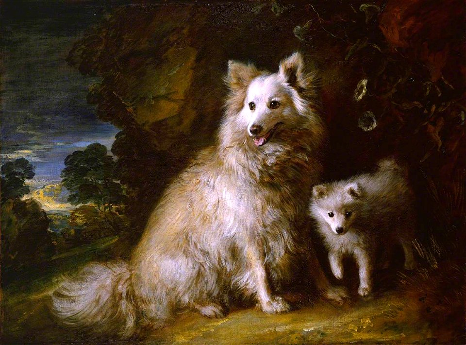 Thomas Gainsborough (1727-1788) - Pomeranian Bitch and Puppy - N05844 - National Gallery