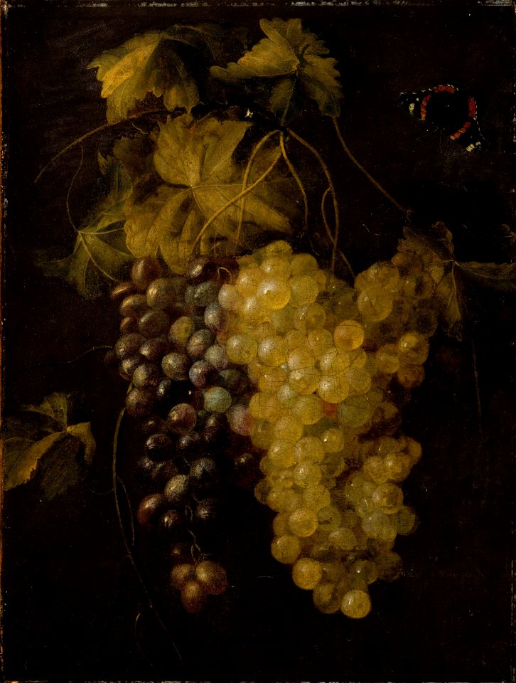 Thomas de Paep - Two bunches of grapes - A I 672 - Finnish National Gallery