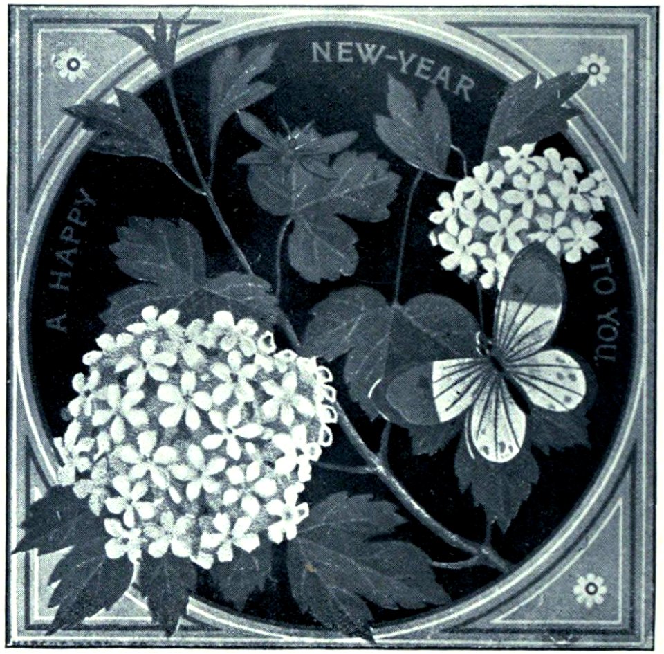Thomas Crane Greeting Card New Years 02