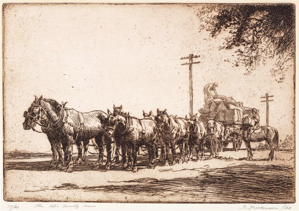 Thomas Friedensen - Friedensen-B - The Up Country Team