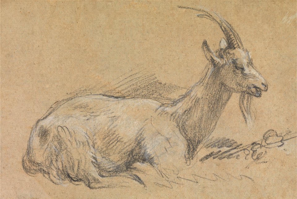 Thomas Gainsborough - Study of a Goat - Google Art Project