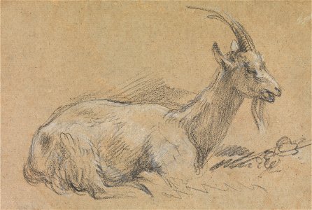 Thomas Gainsborough - Study of a Goat - Google Art Project