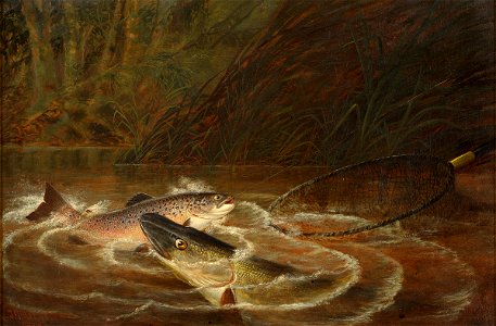 Thomas G Targett Ruese und Fische 1870. Free illustration for personal and commercial use.