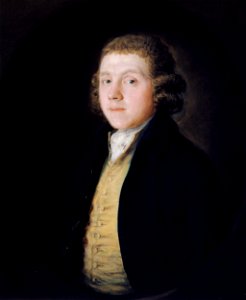 Thomas Gainsborough - The Reverend Samuel Kilderbee - Google Art Project. Free illustration for personal and commercial use.