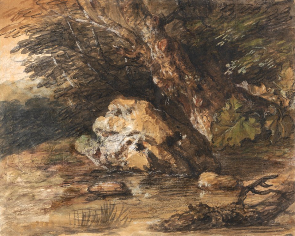Thomas Gainsborough - A Woodland Pool with Rocks and Plants - Google Art Project